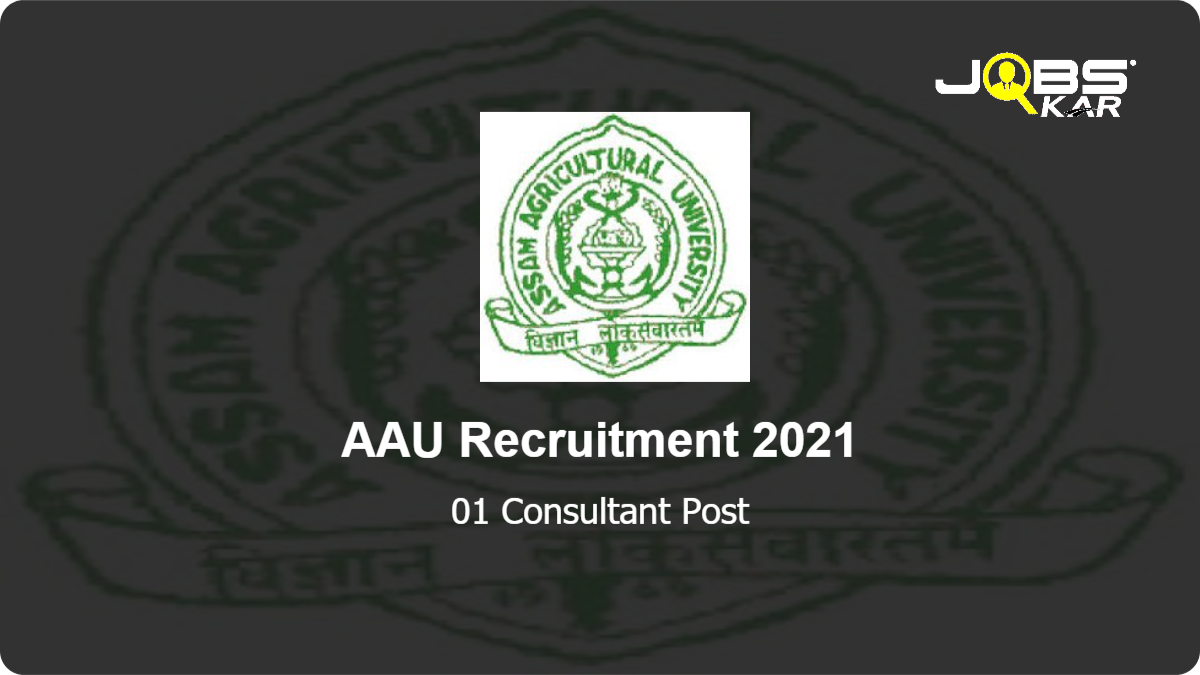 AAU Recruitment 2021: Apply Online for Consultant Post