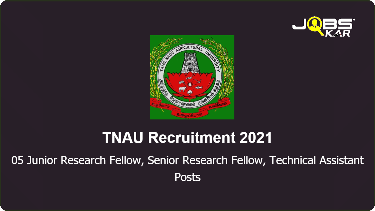 TNAU Recruitment 2021: Walk in for 05 Junior Research Fellow, Senior Research Fellow, Technical Assistant Posts