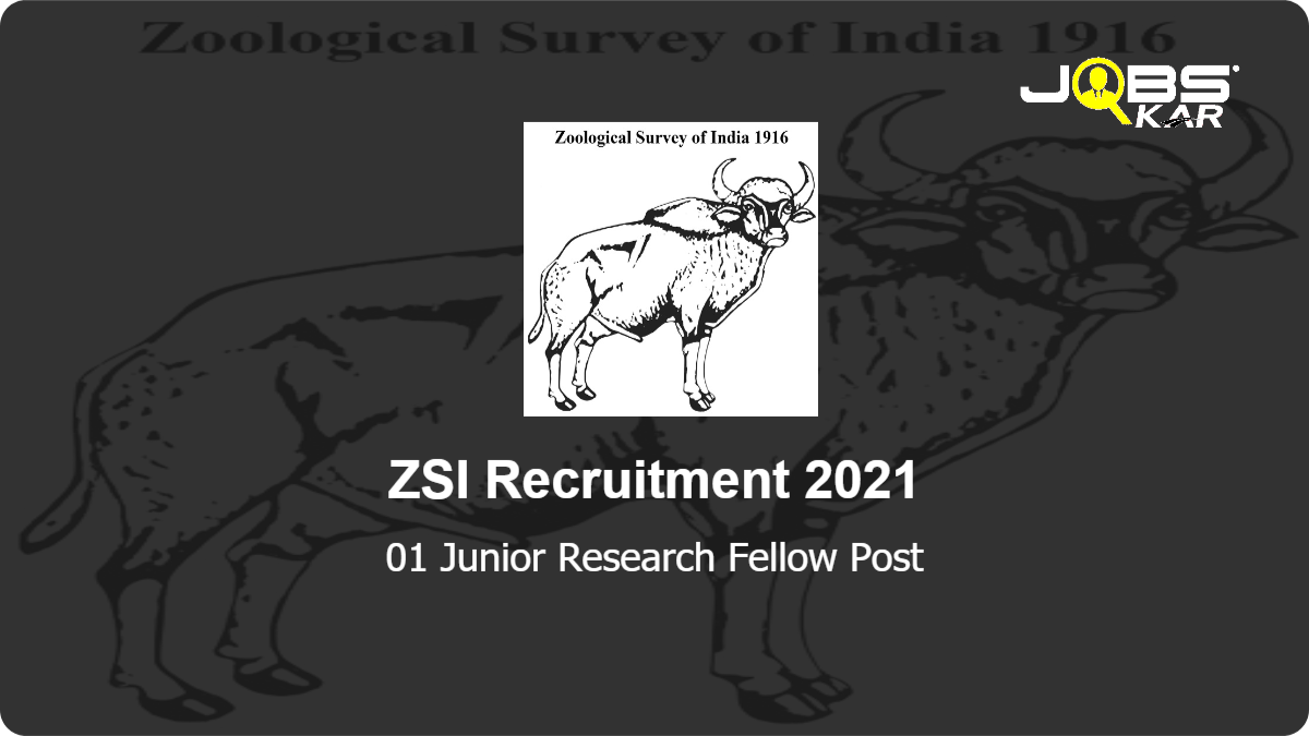 ZSI Recruitment 2021: Apply for Junior Research Fellow Post