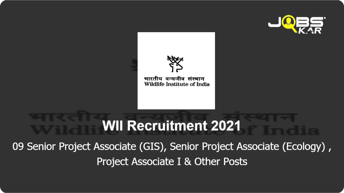 WII Recruitment 2021: Apply Online for 09 Senior Project Associate (GIS), Senior Project Associate (Ecology) , Project Associate I, Project Scientist III Posts