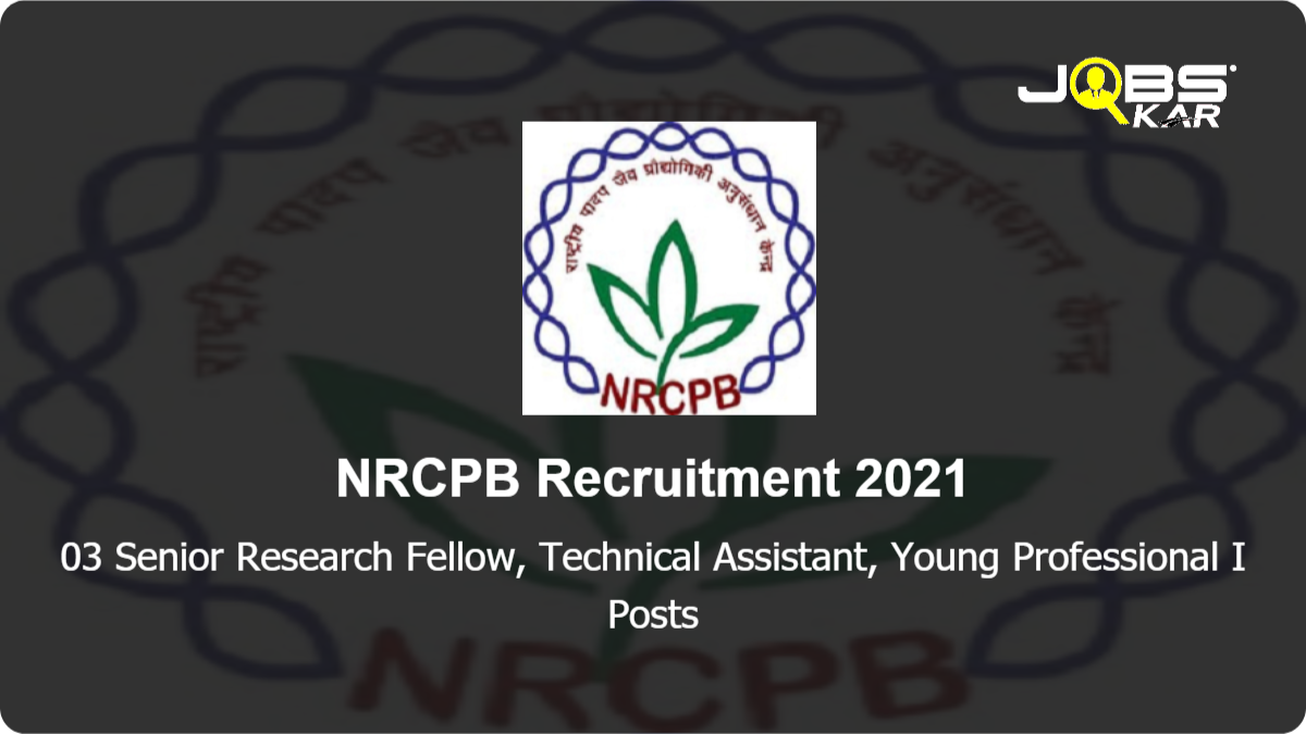 NRCPB Recruitment 2021: Apply Online for Senior Research Fellow, Technical Assistant, Young Professional I Posts