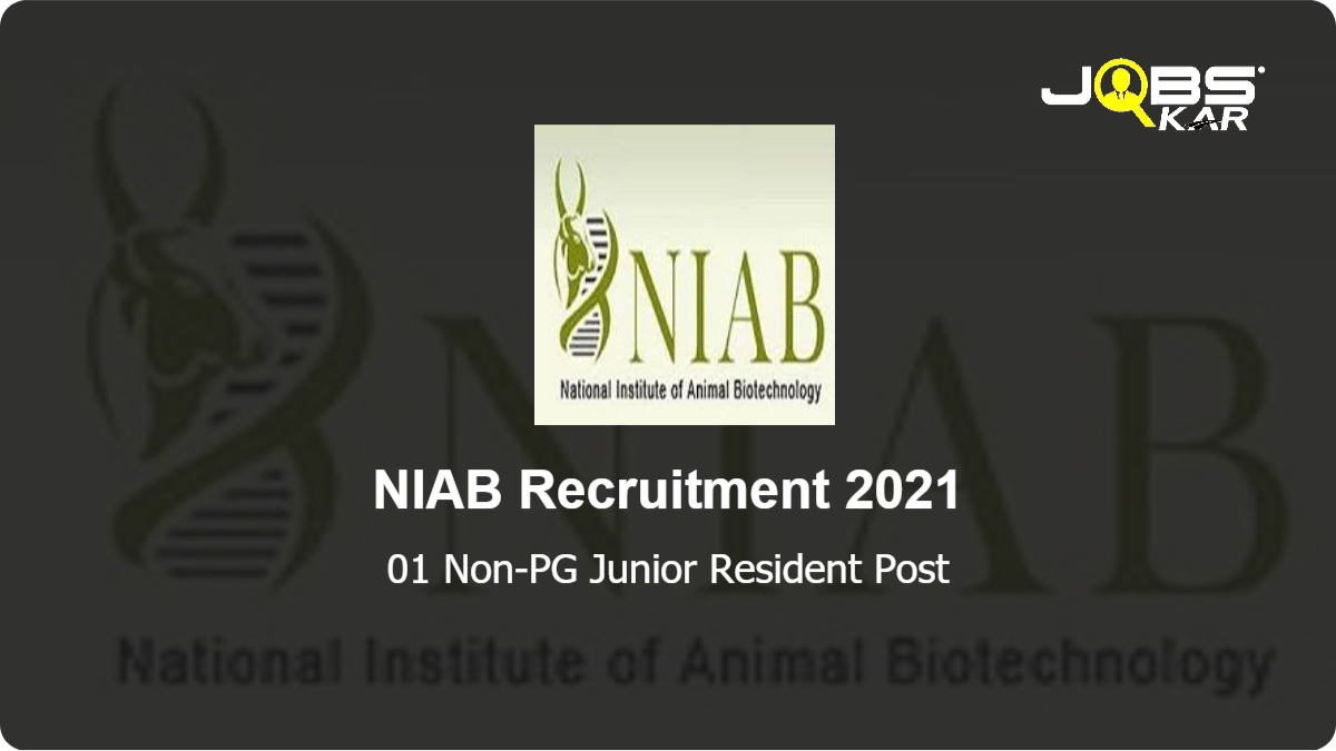 NIAB Recruitment 2021: Walk in for Non-PG Junior Resident Post