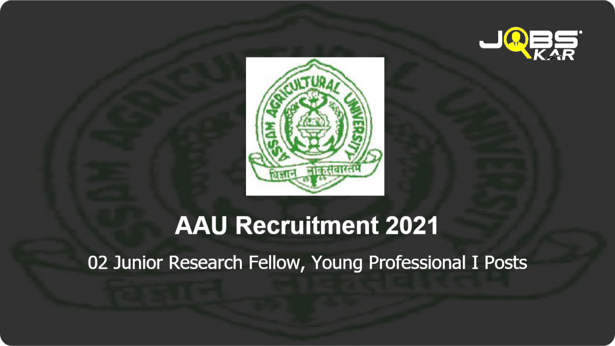 AAU Recruitment 2021: Apply for Junior Research Fellow, Young Professional I Posts