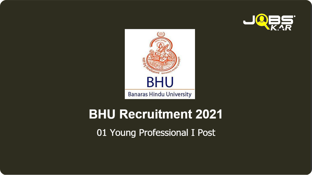 BHU Recruitment 2021: Apply Online for Young Professional I Post