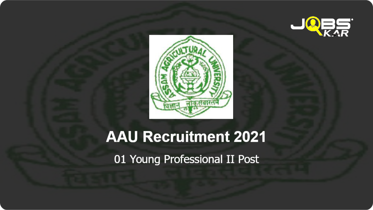AAU Recruitment 2021: Walk in for Young Professional II Post