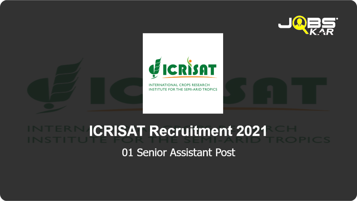 ICRISAT Recruitment 2021: Apply for Senior Assistant Post