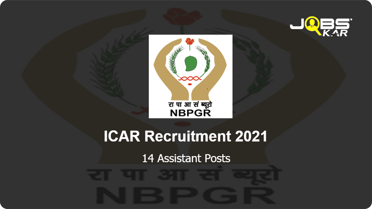 ICAR Recruitment 2021: Apply for 14 Assistant Posts