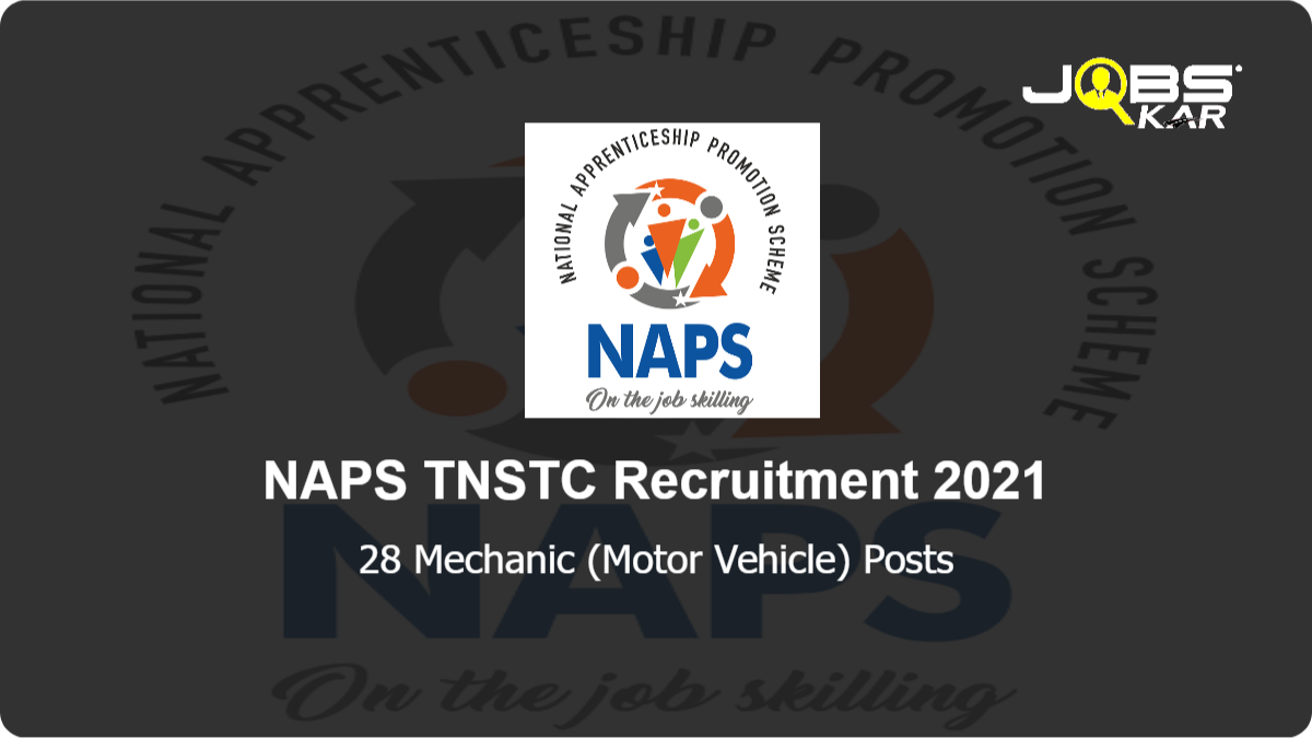 NAPS TNSTC Recruitment 2021: Apply Online for 28 Mechanic (Motor Vehicle) Posts