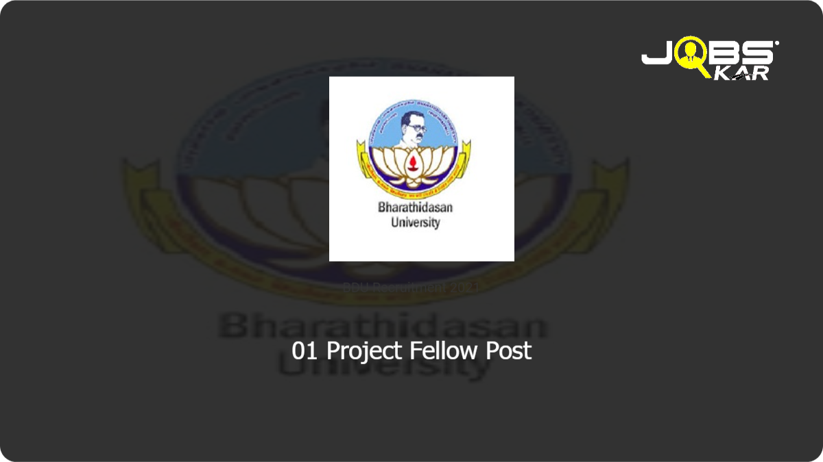 BDU Recruitment 2021: Apply Online for Project Fellow Post