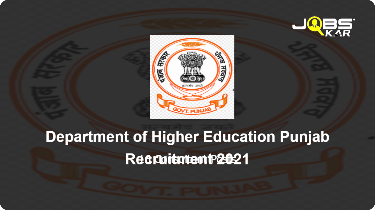 Department of Higher Education Punjab Recruitment 2021: Apply for 16 Consultant Posts