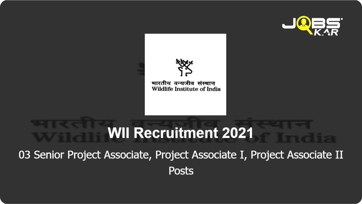 WII Recruitment 2021: Apply Online for Senior Project Associate, Project Associate I, Project Associate II Posts