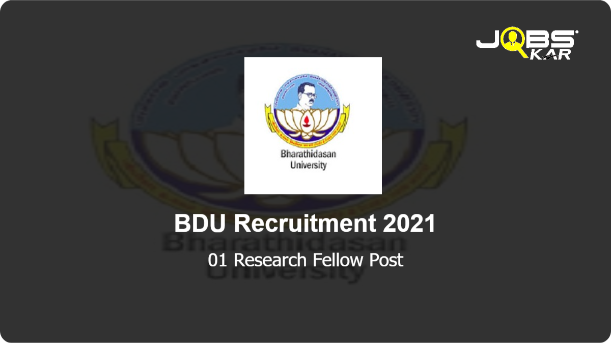 BDU Recruitment 2021: Apply for Research Fellow Post