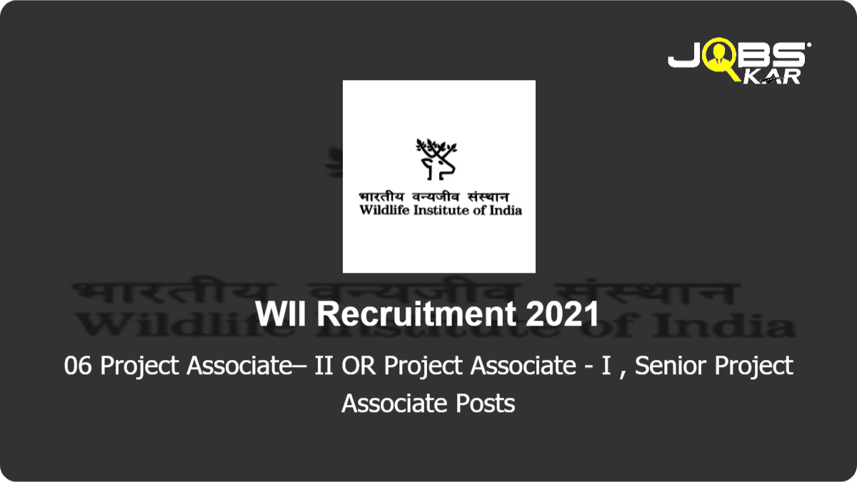 WII Recruitment 2021: Apply Online for 06 Project Associate– II OR Project Associate - I, Senior Project Associate Posts