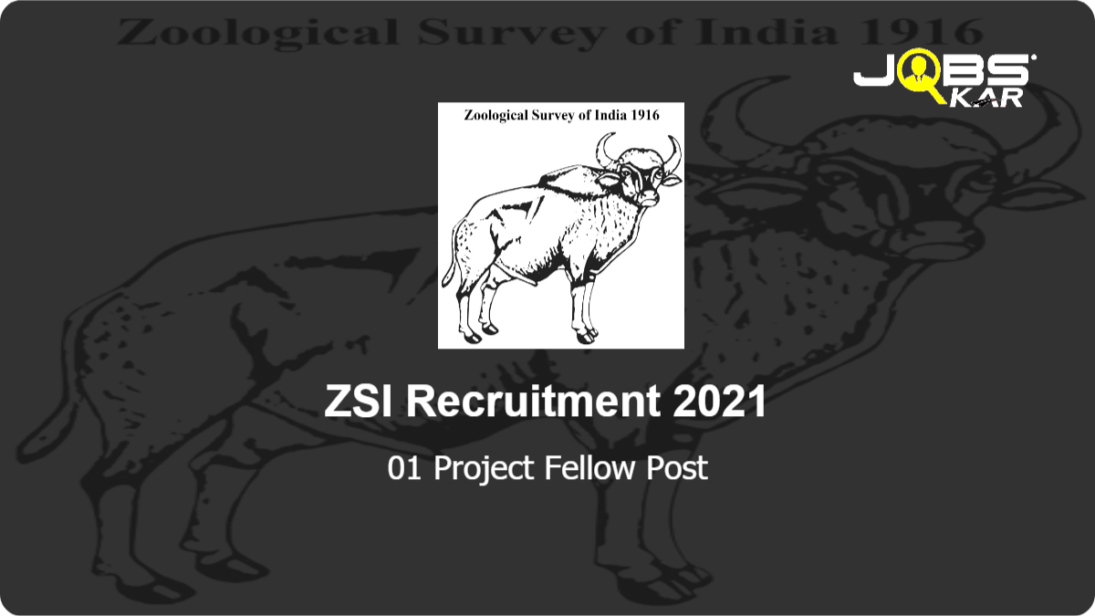 ZSI Recruitment 2021: Apply for Project Fellow Post