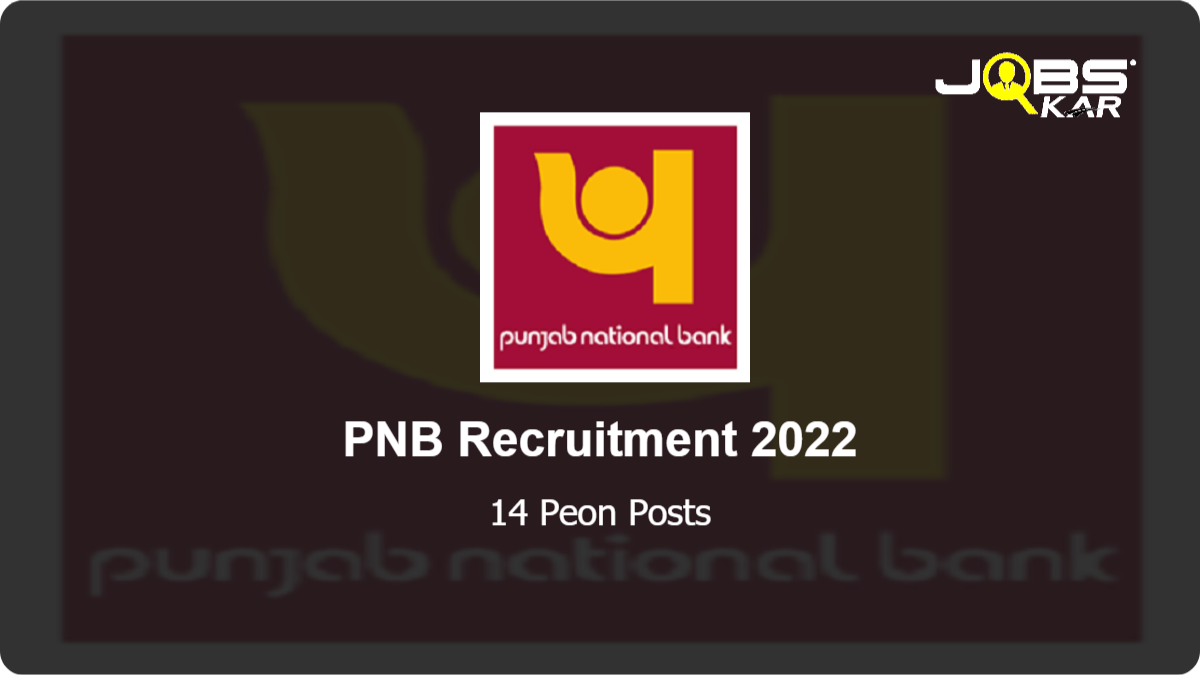PNB Recruitment 2022: Apply for 14 Peon Posts