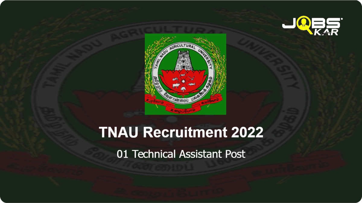 TNAU Recruitment 2022: Walk in for Technical Assistant Post