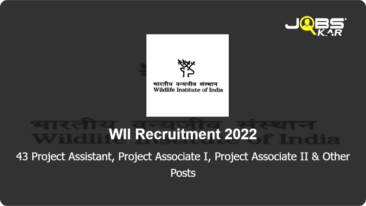 WII Recruitment 2022: Apply for 43 Project Assistant, Project Associate I, Project Associate II, Graphic Designer, Database Administrator Posts