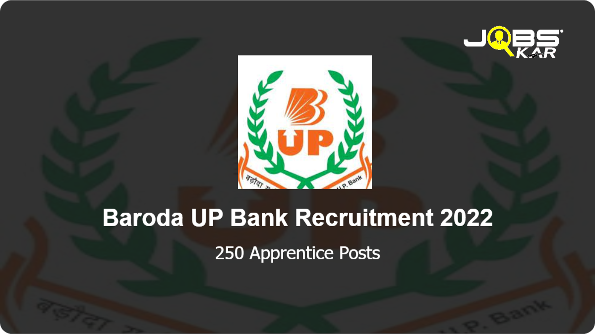 Baroda UP Bank Recruitment 2022: Apply Online for 250 Apprentice Posts
