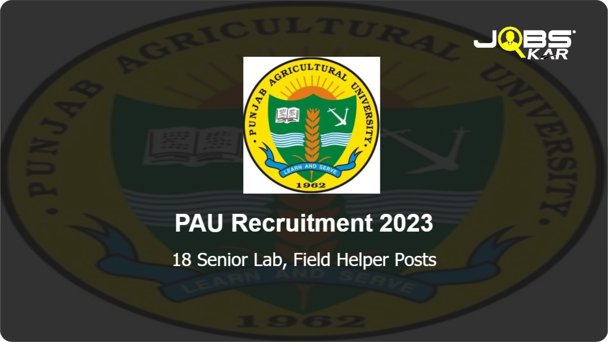 PAU Recruitment 2023: Apply for 18 Senior Lab, Field Helper Posts