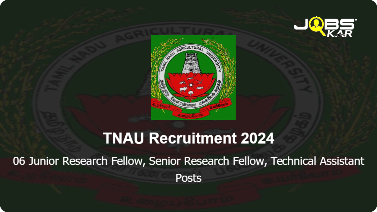 TNAU Recruitment 2024: Walk in for 06 Junior Research Fellow, Senior Research Fellow, Technical Assistant Posts